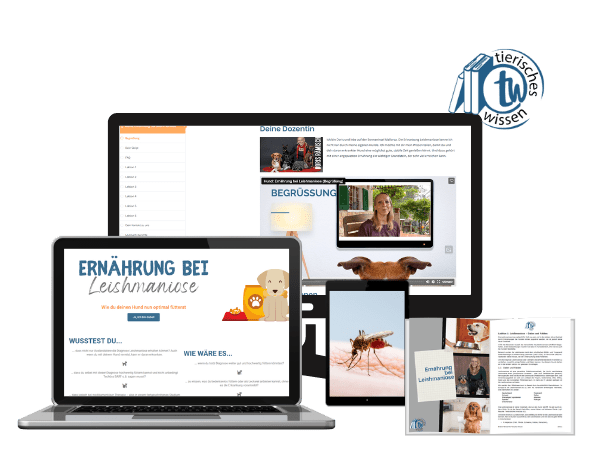Kurs-Mockup zeigt Website, Laptop, Tablet und Printmaterialien zum Thema Leishmaniose-Ernährung