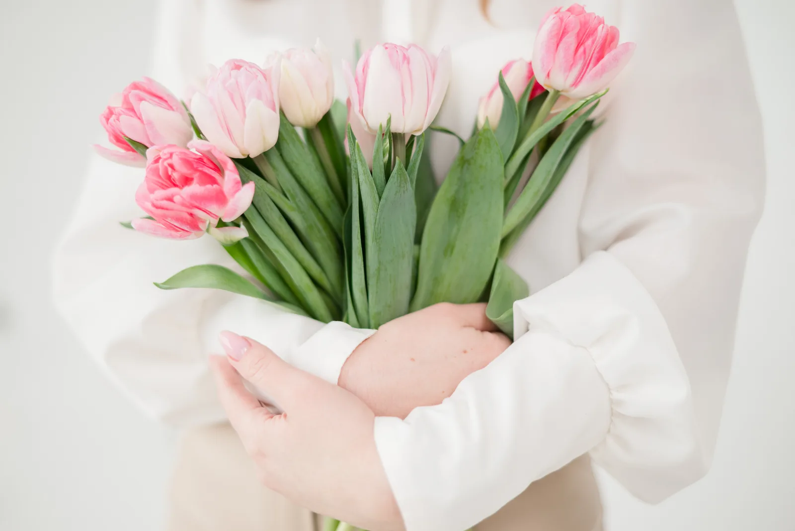 Hände halten Strauß aus rosa und weißen Tulpen vor weißem Hintergrund