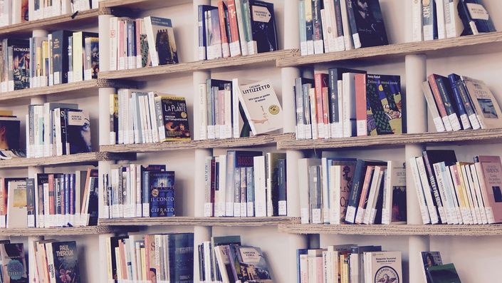 Volle Bücherregale mit verschiedenen Büchern, Hardcover und Taschenbücher in Beige und Dunkelblau