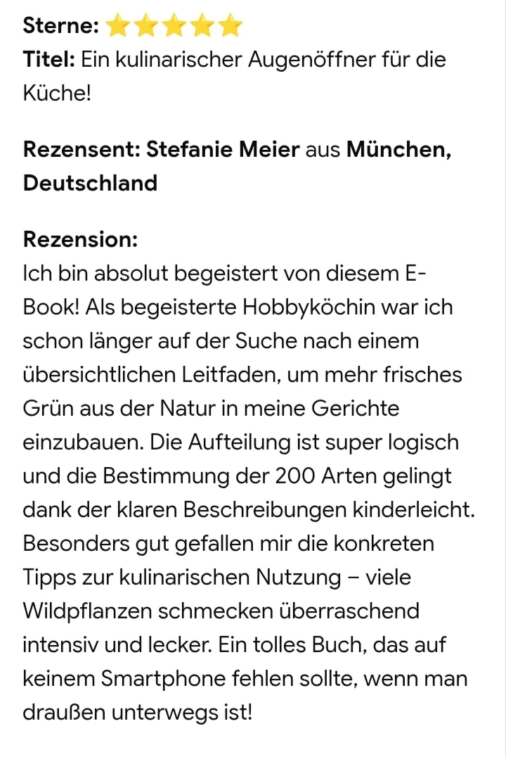 Fünf-Sterne-Kundenbewertung von Stefanie Meier aus München über das E-Book
