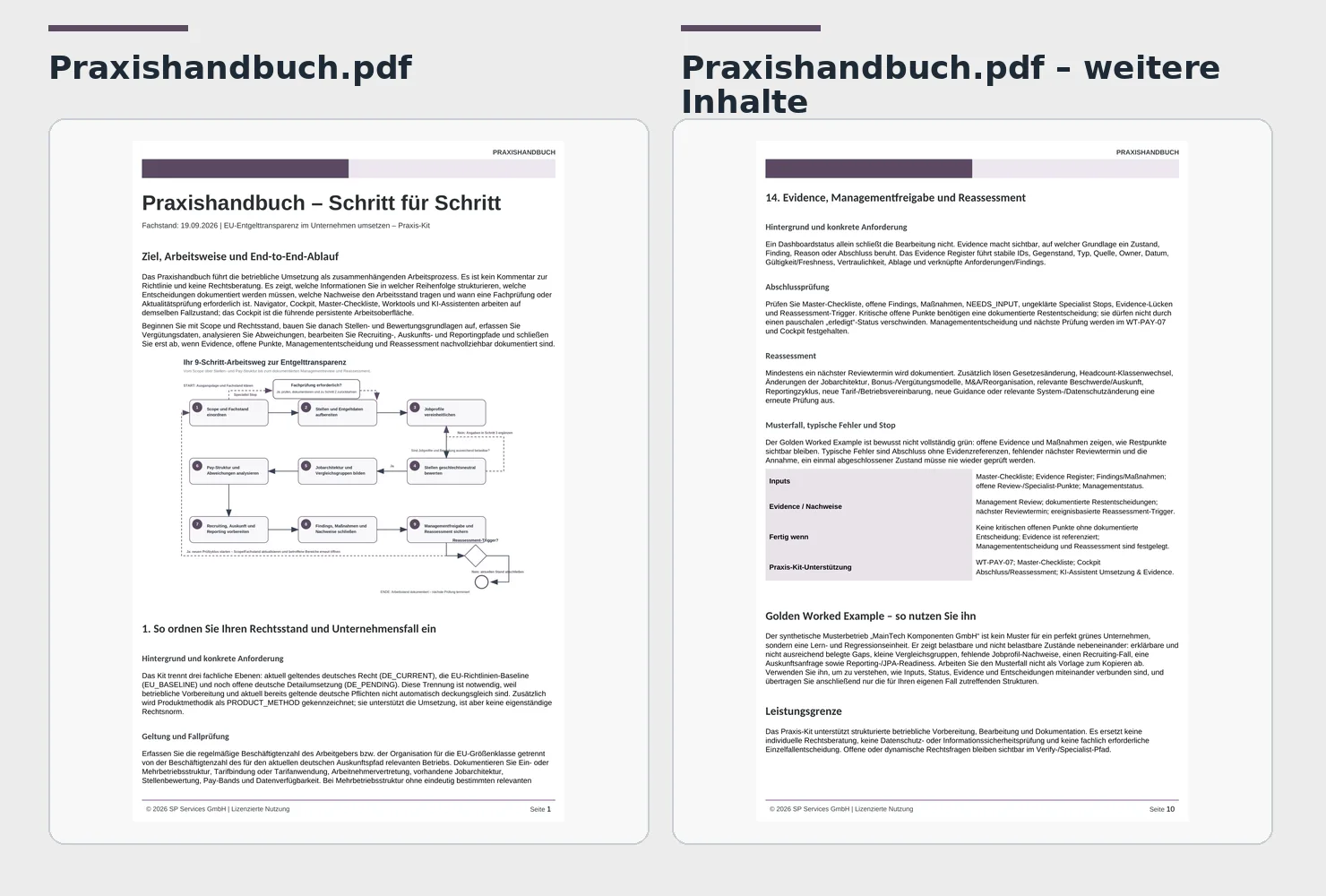 EU-Entgelttransparenz im Unternehmen umsetzen von Sonja Kunkel-Zhao 5 Praxishandbuch PDF erste Seite mit Schritt-für-Schritt Ablauf und Workflowdiagramm