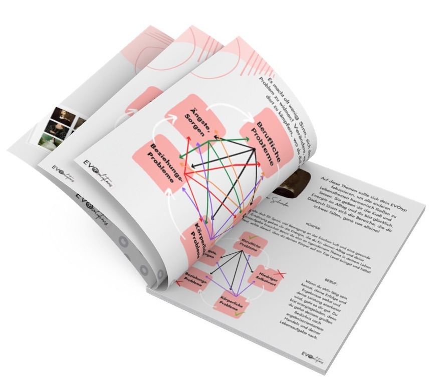 Geöffnetes Workbook mit EVOtypen-Diagramm und farbigen Verbindungslinien sowie Begleitmaterialien
