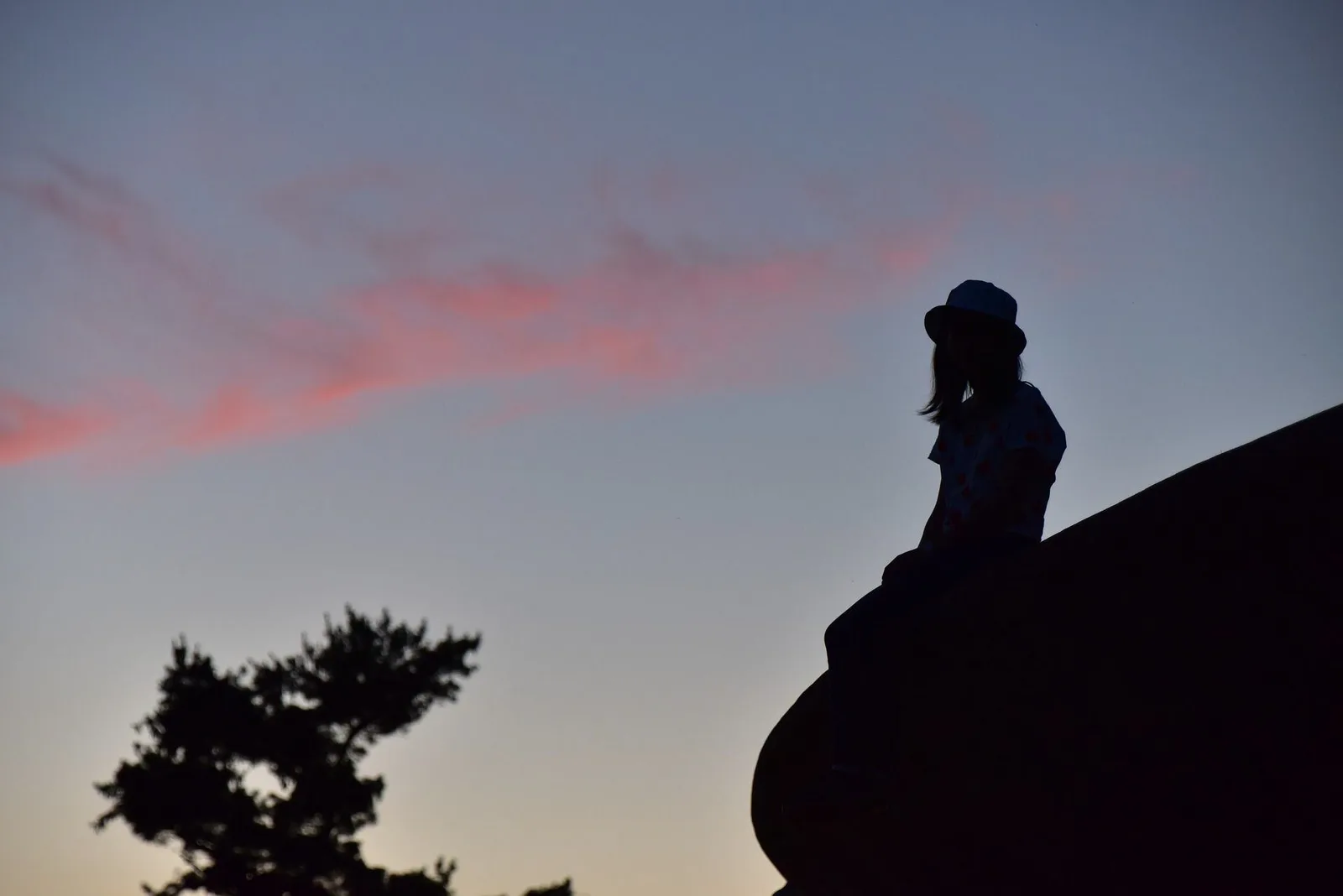 Externenprüfung Betreuungsrecht von Soteris Sozialakademie 4 Silhouette einer Frau auf einem Felsen bei Sonnenaufgang mit Baum und Himmel