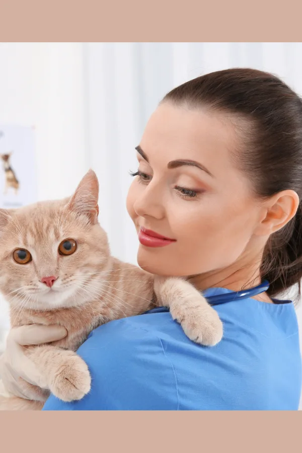 Tierärztin in blauer Arbeitskleidung hält beige Katze