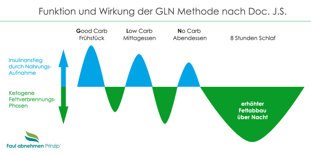 Infografik Ketogene Fettverbrennungs-Phasen nach Doc. J.S. mit Insulin- und Kohlenhydratverlauf