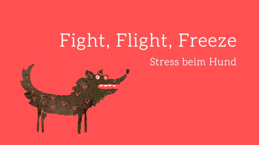 Hero-Banner Fight Flight Freeze – Stress beim Hund mit gestresstem Hund auf rotem Hintergrund