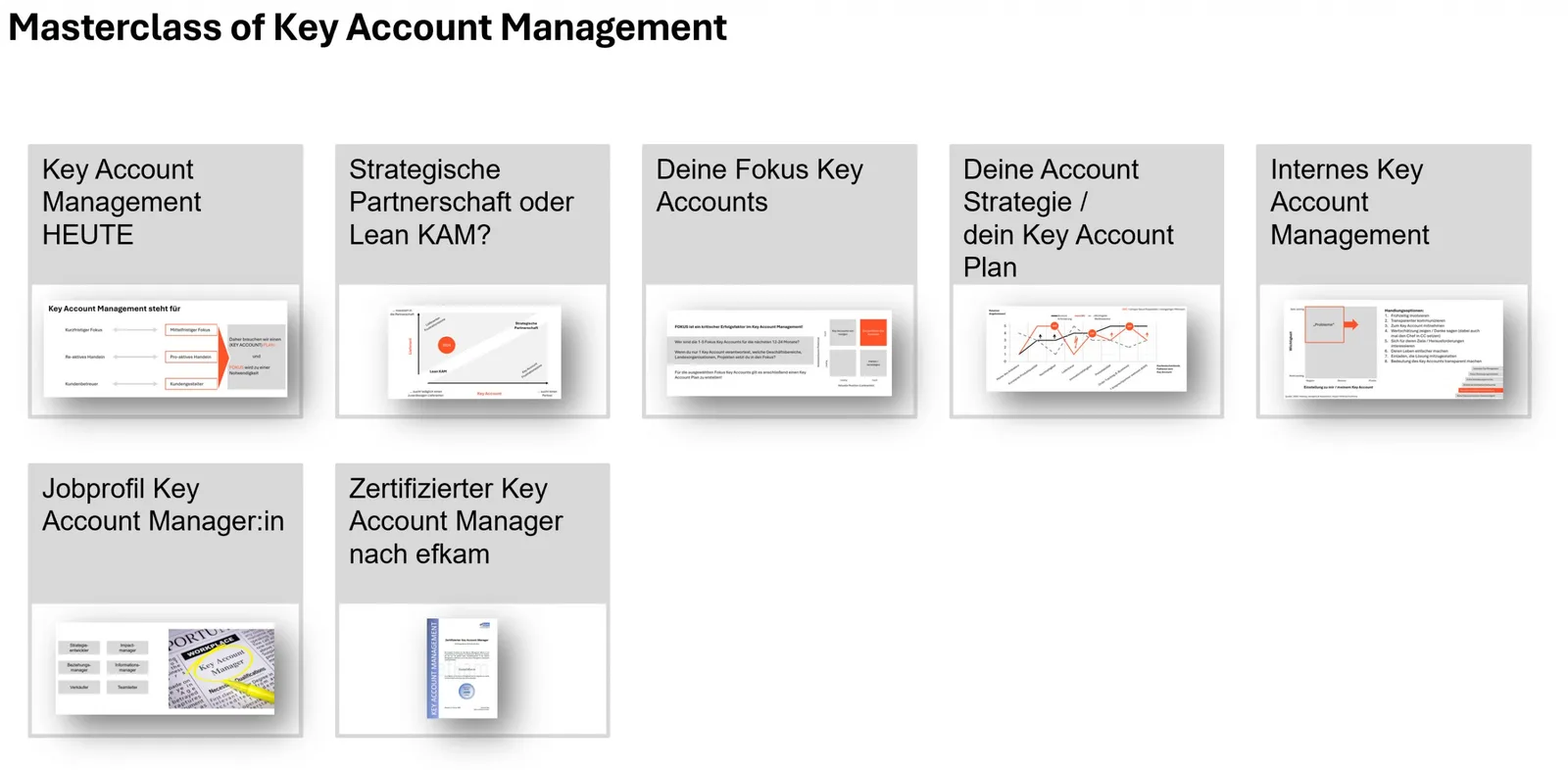 Übersichtsgrafik Masterclass of Key Account Management mit sieben Modulen und Kursthemen in Kacheln