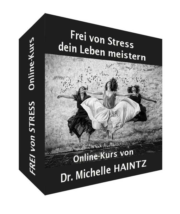 Produktbox FREI von STRESS dein Leben meistern Videokurs