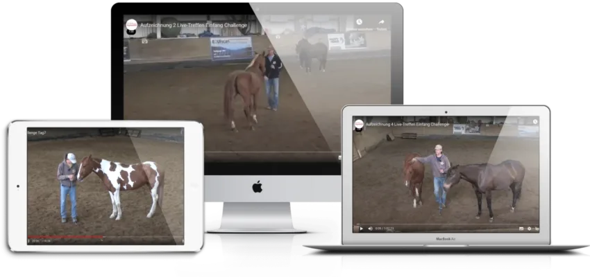 Screenshots von Live-QA Aufzeichnungen der Challenge auf Tablet, Monitor und Smartphone mit Pferdetraining