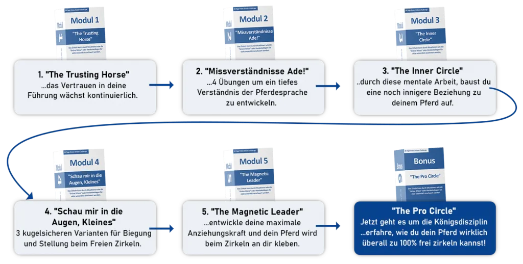 Ablaufdiagramm der Freies Zirkeln Challenge mit 5 Modulen und Bonus als visueller Lernpfad