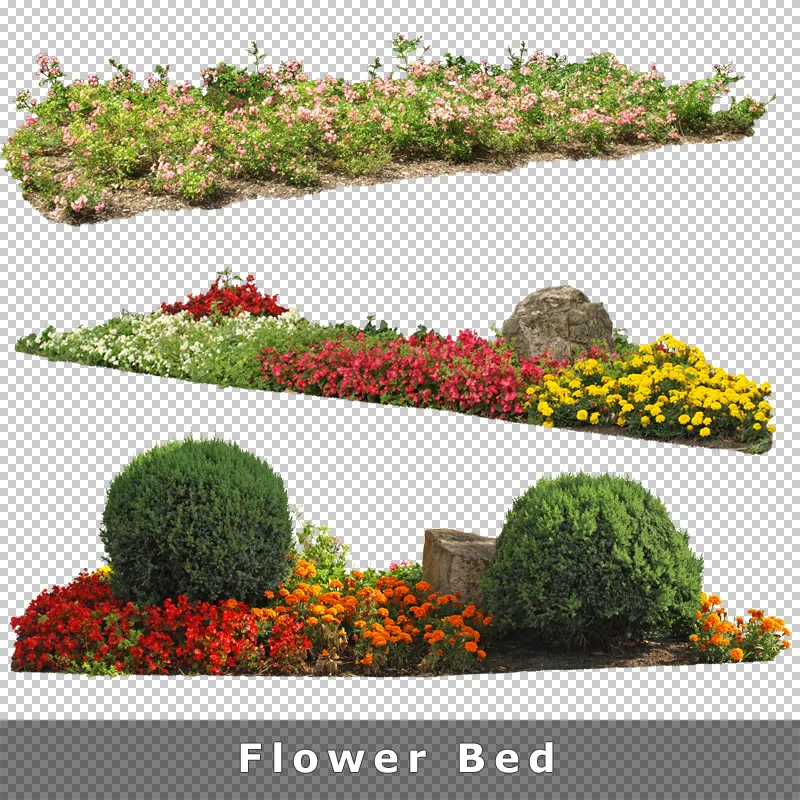 Freigestellte Blumenbeete – Blütenflora mit Gräsern und Sträuchern in verschiedenen Arrangements