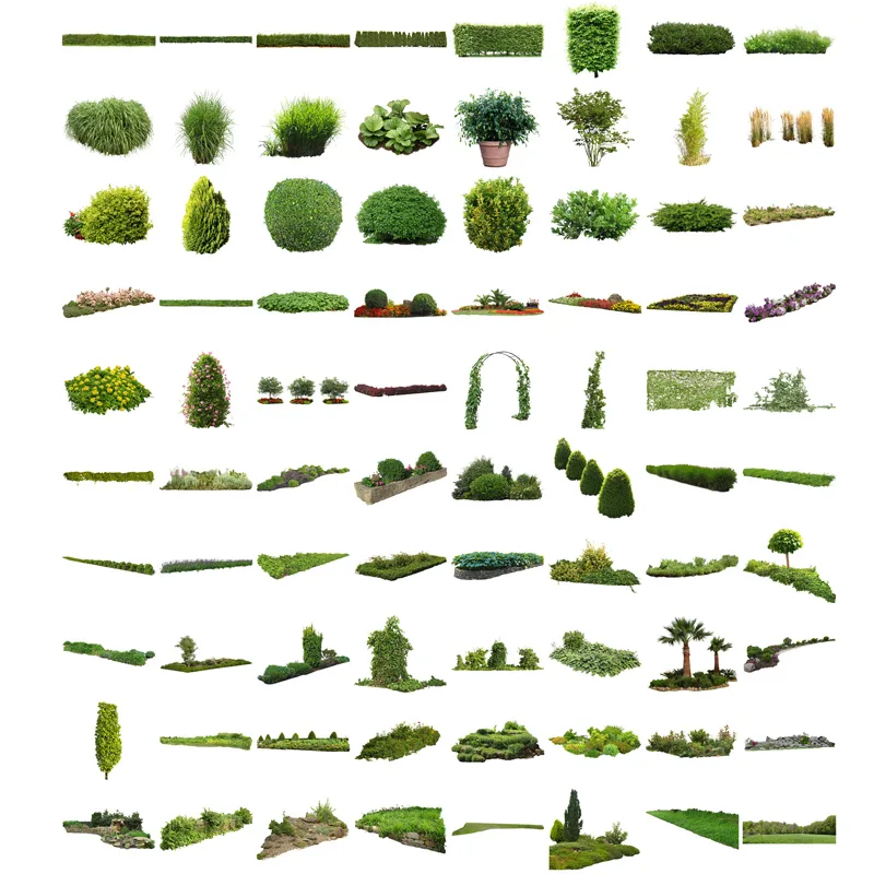 Umfangreiche Sammlung freigestellter Landschaftspflanzen – über 100 verschiedene Pflanzenelement