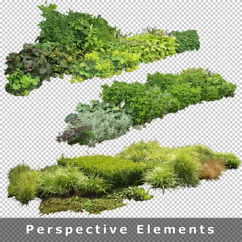Freigestellte Gartenpflanzen-Perspektiven mit Gräsern, Büschen und gemischter Vegetation