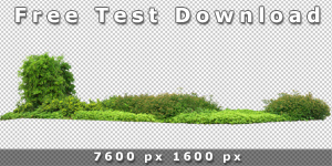 Kostenlose Testversion: Vegetation Cutout V4 mit freigestellten Pflanzen in 7600 x 1600 px