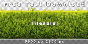 Kostenlose Testversion: Kachelbare Hecken-Textur in hochauflösender Qualität 5800 x 2500 px