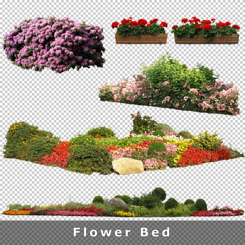 Verschiedene farbige Blumenbeete und Blüten-Kombinationen freigestellt für Gartendesign