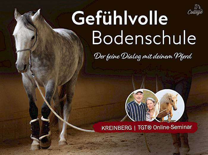 Videokurs Gefühlvolle Bodenschule mit System von Peter Kreinberg