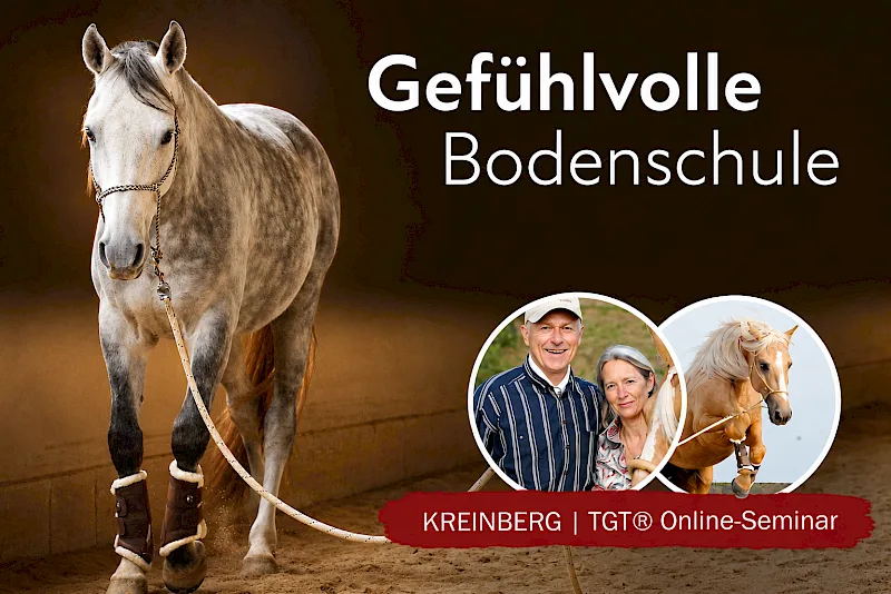 Kurscover Gefühlvolle Bodenschule mit System