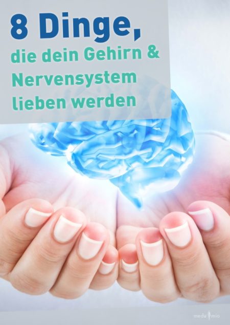 Freebie-Cover mit Glühbirnen-Symbol und Gehirn-Illustration in blauen und rosa Farben