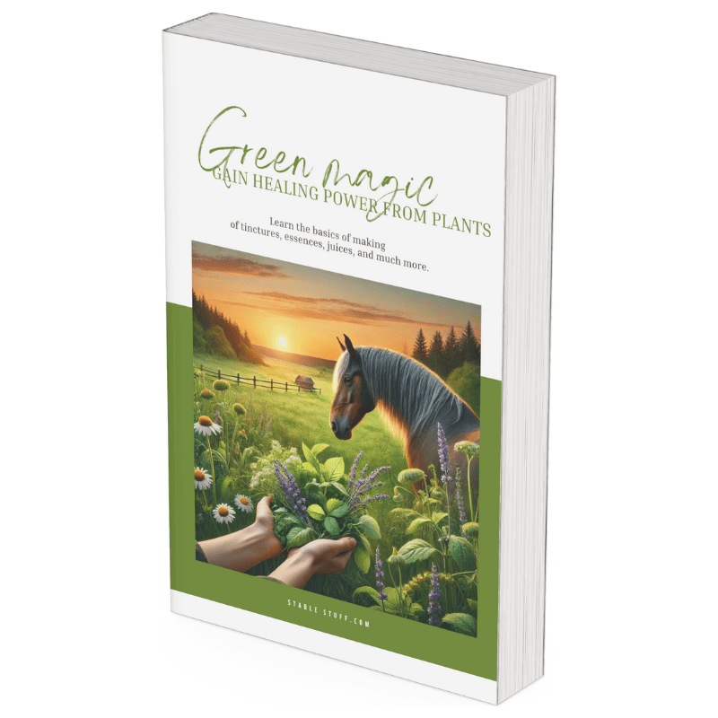 "Green Magic – Gain Healing Power from Plants" Buchcover mit Pferd und Heilkräutern in Englisch