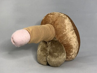 Stoffmodell Lingam mit cremefarbener Hülle in anatomischer Position