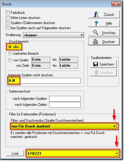 HAPAK Haxxel Druck Dialog EFB 223 mit Druckeinstellungen und Filter