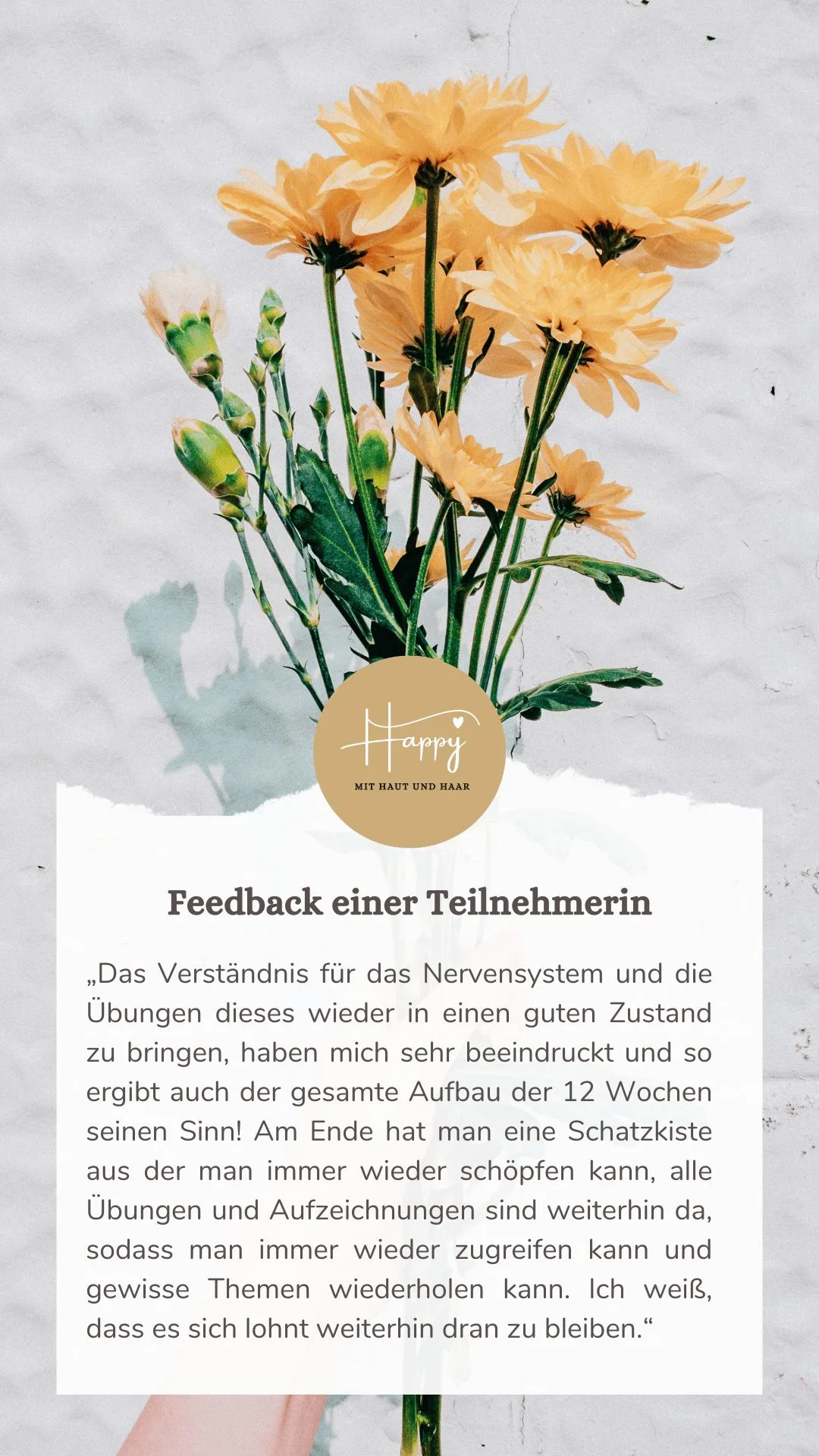 Gelbe Gänseblümchen mit Logo und Kundenfeedback zu Nervensystem-Verständnis
