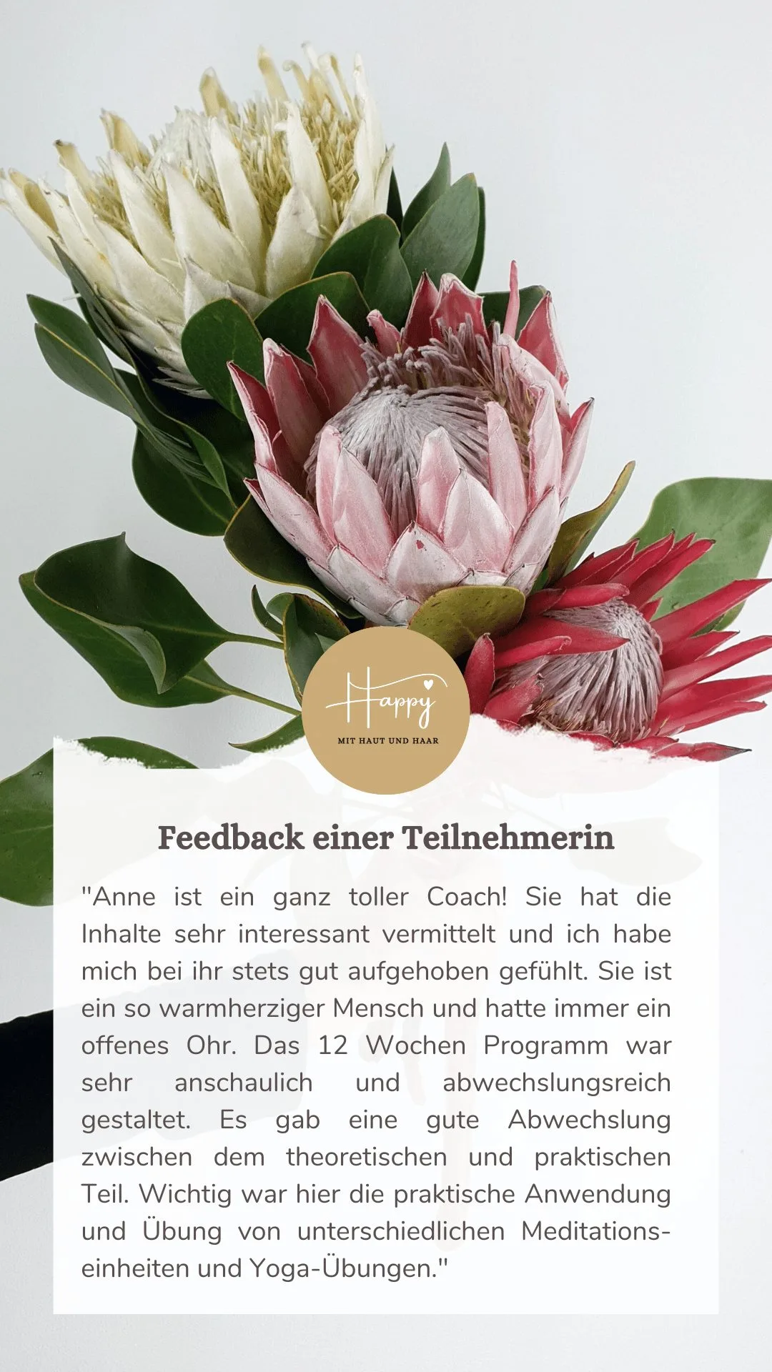 Protea-Blüten in Creme und Rot mit Logo und Kundenfeedback zum Coaching