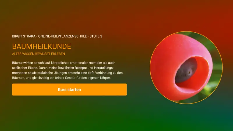 Heilpflanzenkunde – Videokurs zu Wildkräutern von Birgit Straka 3 Kursbanner Stufe 3 Baumheilkunde mit braun-grünem Farbverlauf, roter Blüte und Kursstart-Button