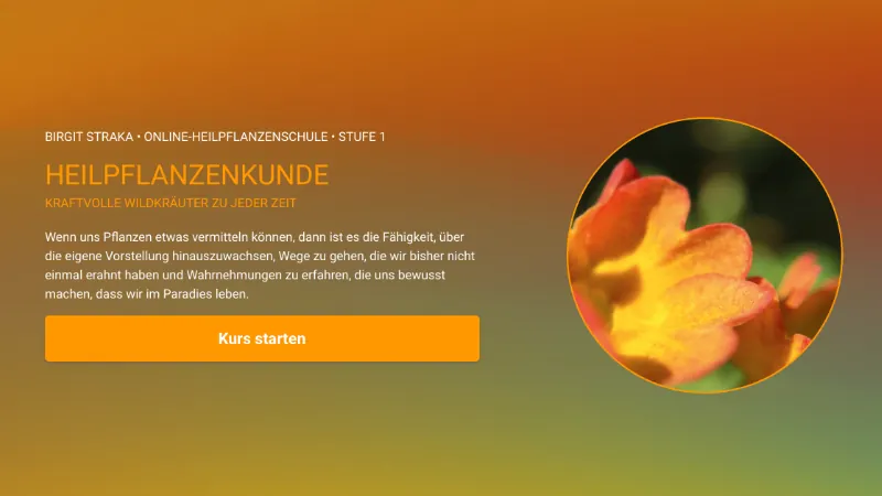 Heilpflanzenkunde – Videokurs zu Wildkräutern von Birgit Straka 4 Kursbanner Stufe 1 Heilpflanzenkunde mit orangem Hintergrund, gelber Blüte und Kursstart-Button