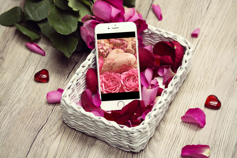 Smartphone mit Herz-Meditationen auf weißem Korb umgeben von rosa und roten Rosenblüten