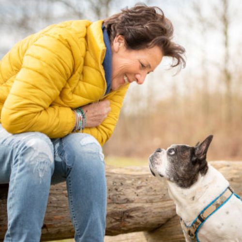 Herzenstiere und Silvester Kongresspaket Premium – Tierangst-Kurs 18 Katrien Lismont mit Hund, TTouch bei Silvester- und Gewitterangst