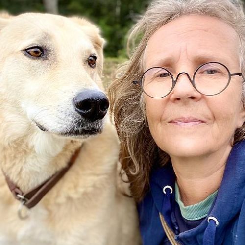 Herzenstiere und Silvester Kongresspaket Premium – Tierangst-Kurs 19 Meike Siewert trainiert Hund bei Sonnenuntergang