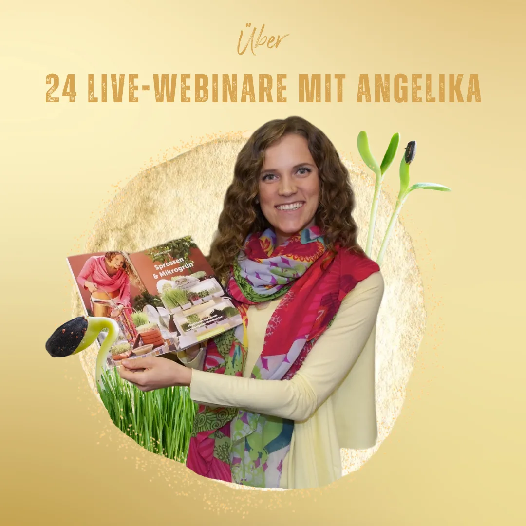 Porträt von Angelika Fürstler mit Buch und Text Über 24 Live-Webinare mit Angelika