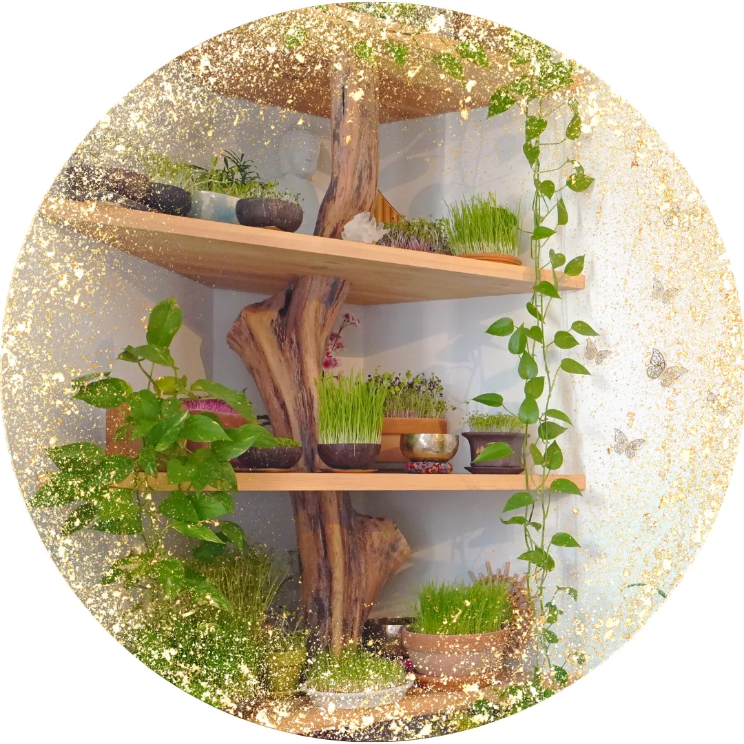 Hölzernes Regal mit Pflanzen, Kräutern und grünen Sprossen vor weißer Wand mit Glitterrahmen