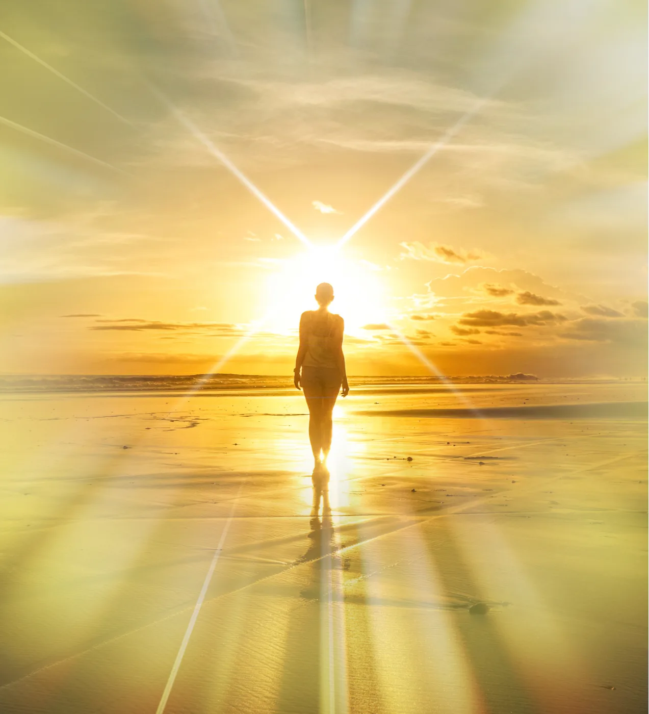 Kursstruktur Higher Self Talk Module