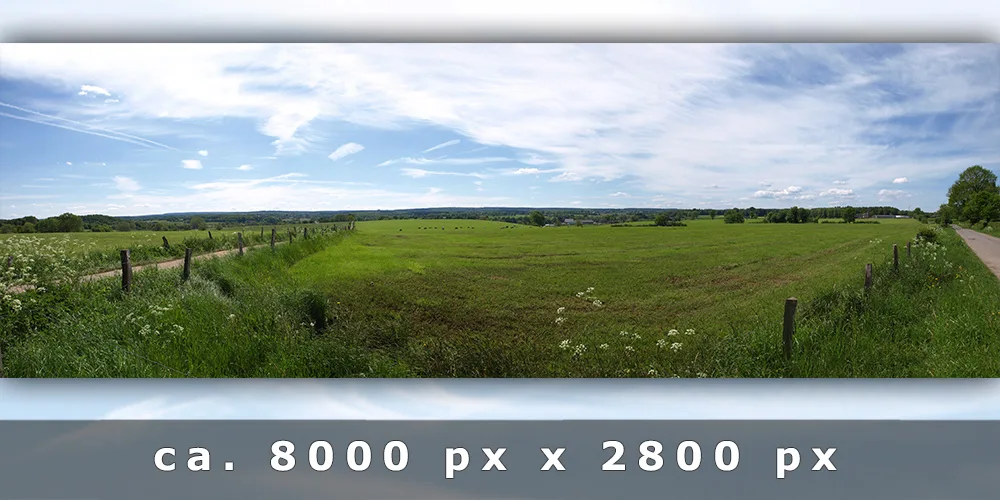 Weidelandschaft mit Weiden, Himmel und Zirruswolken