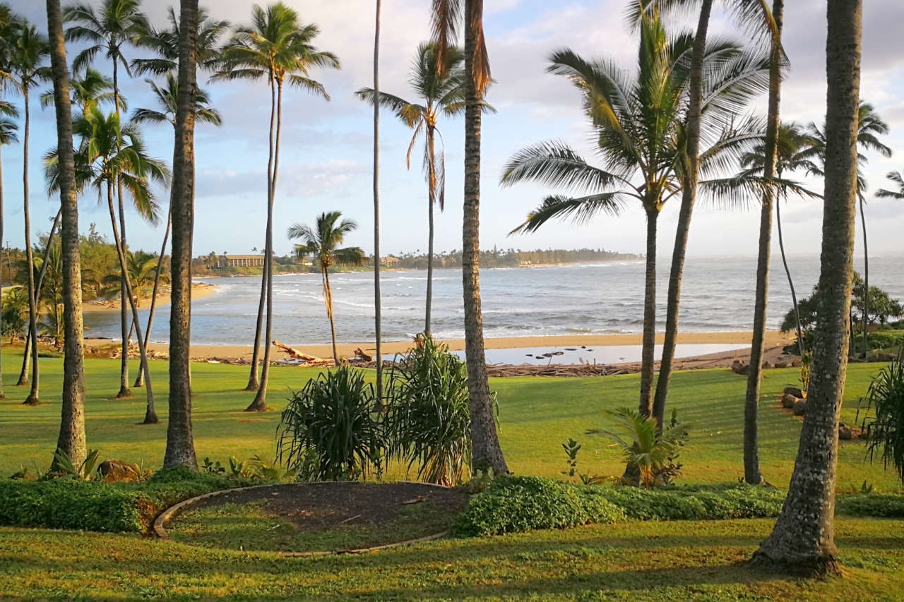 Hawaiianische Strandlandschaft mit Palmen, Rasen und Meer