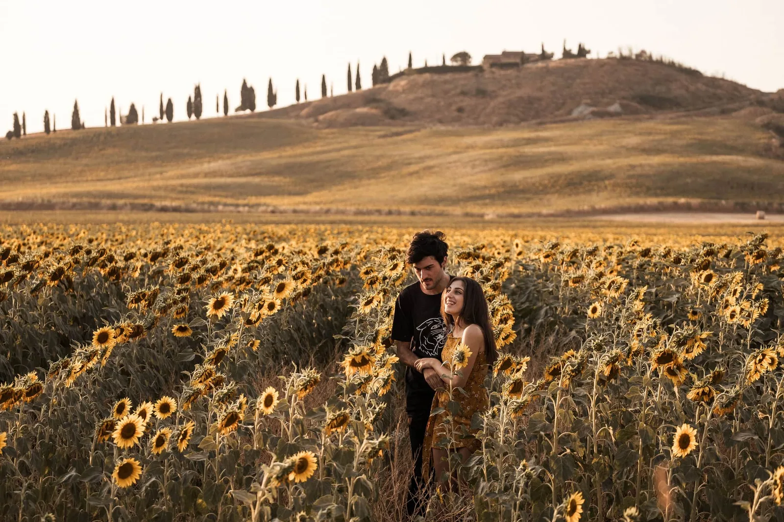 Junges Paar küsst sich in goldenem Sonnenblumenfeld, Hochzeitsfotografie-Beispiel