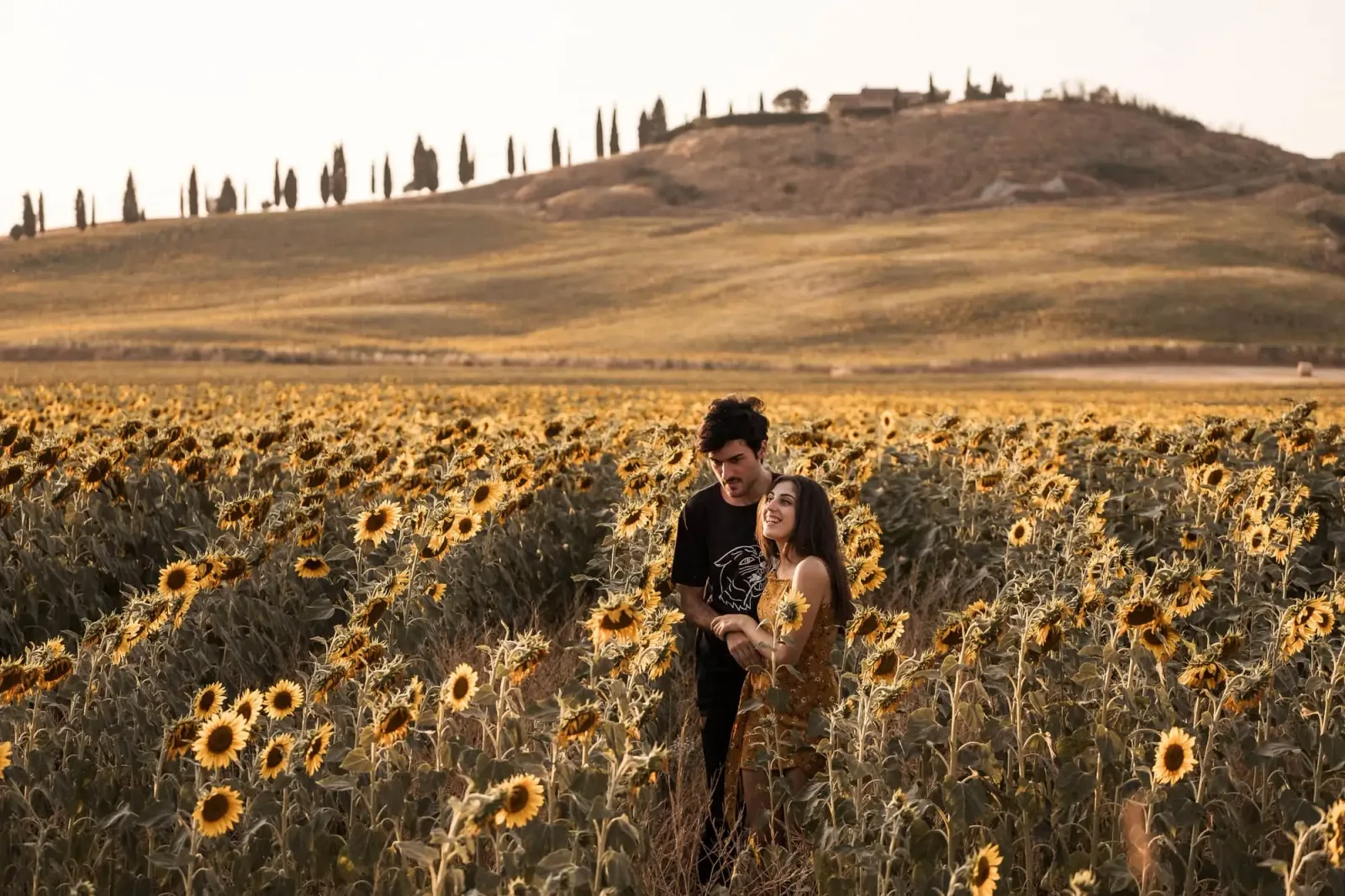 Brautpaar im Sonnenblumenfeld, goldenes Licht, Hochzeitsfotografie mit Hochzeitsfotografie Collective Preset
