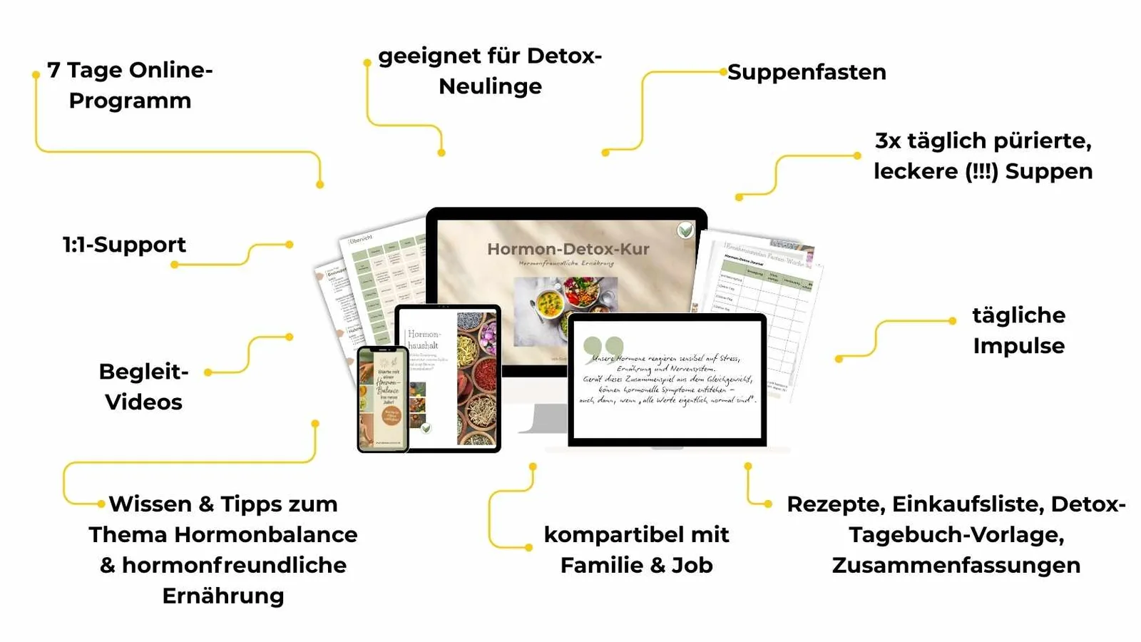 Übersichtsdiagramm der Hormon-Detox-Kur mit Inhalten, Features und Leistungen