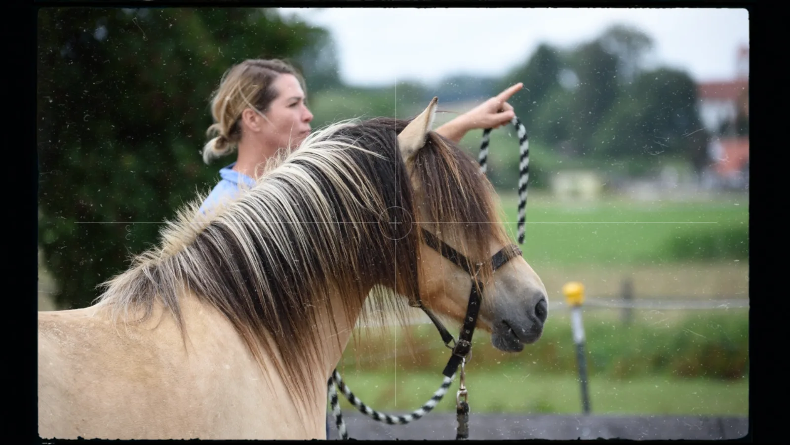 Kirsti Ludwig deutet auf Pferdehalskurve bei Horse Speak Videoseminar