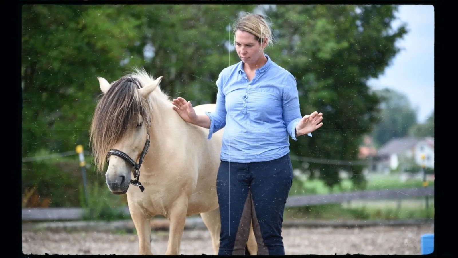 Kirsti Ludwig erklärt Horse Speak Techniken beim Pferdetraining im Freien
