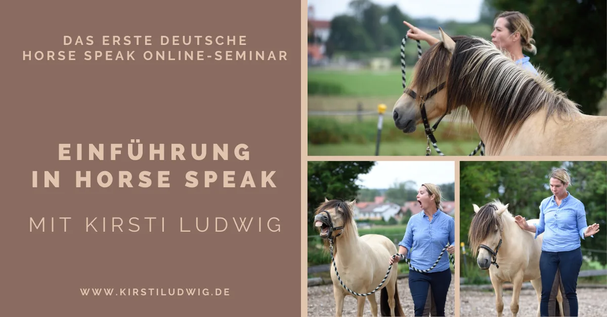 Hero-Banner: Das erste deutsche Horse Speak Basis Online-Seminar mit Kirsti Ludwig und Pferden