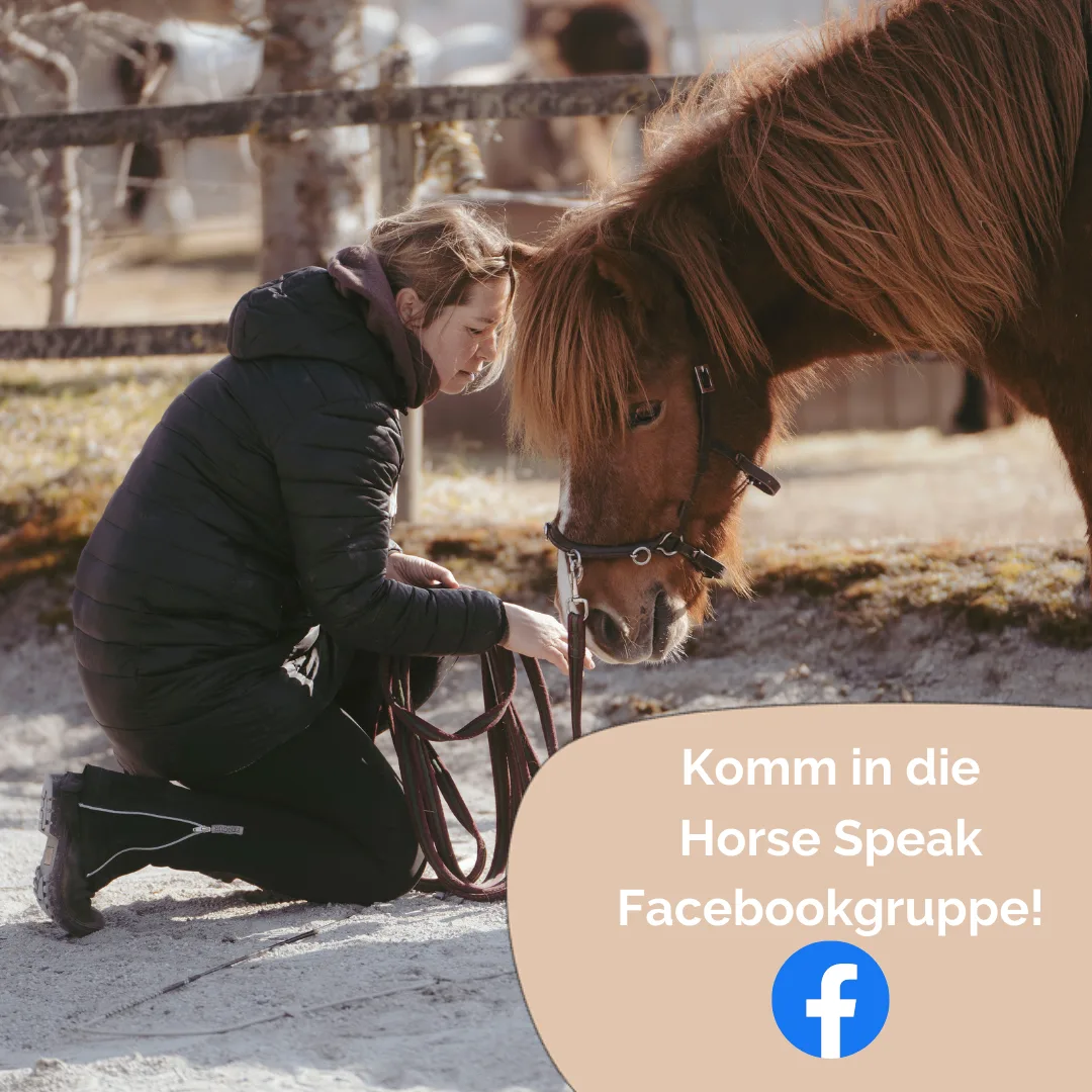 Frau kniet vor Pferd zum Satteln mit Call-to-Action zur Horse Speak Facebook-Gruppe