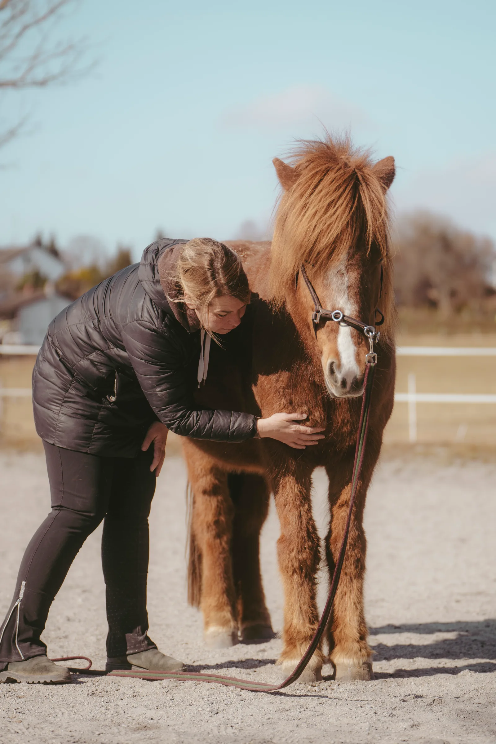 Kirsti Ludwig führt braunes Pony an der Hand mit Horse Speak Techniken