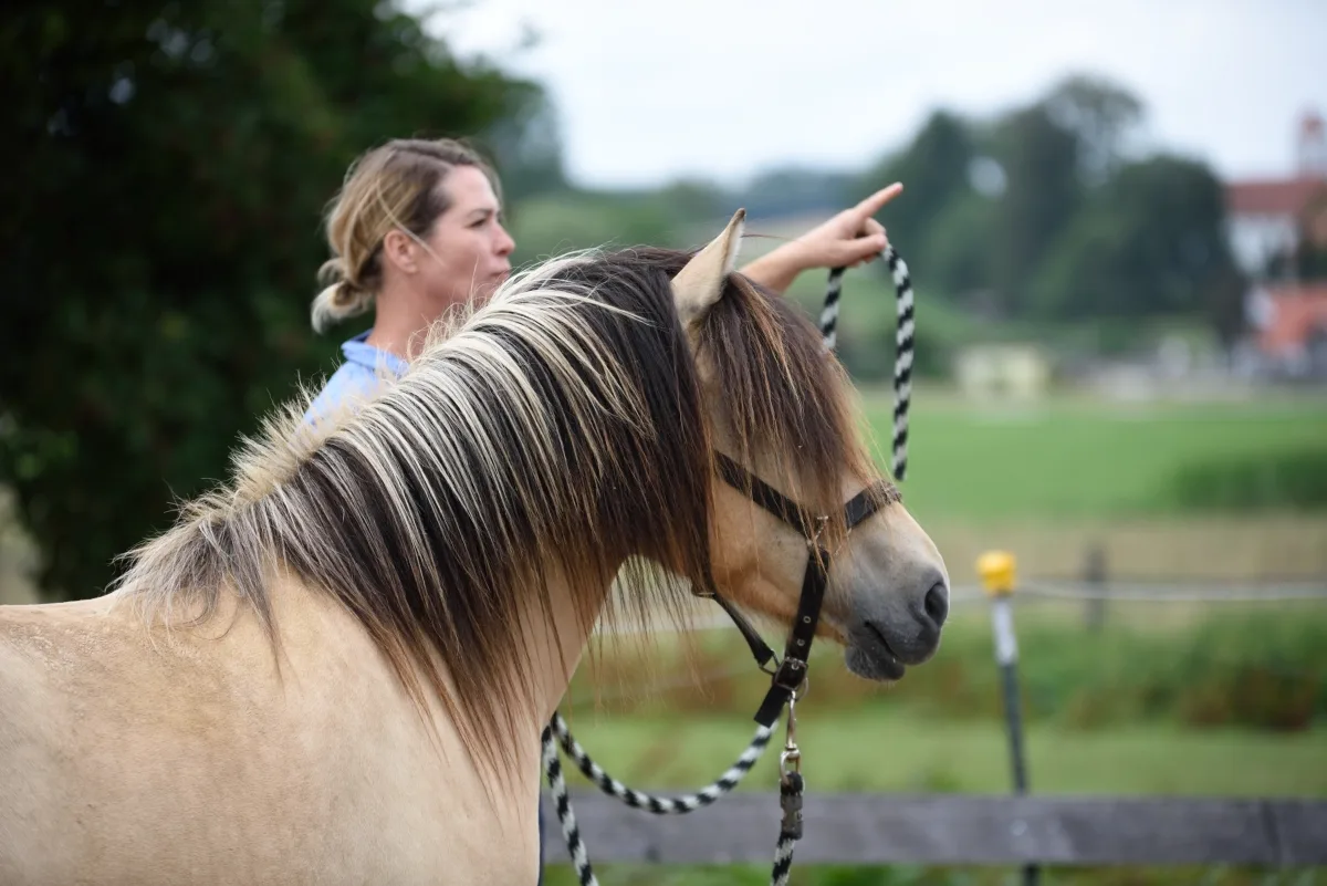 Kirsti Ludwig demonstriert Horse Speak Protection-Technik mit hellbraunem Pony