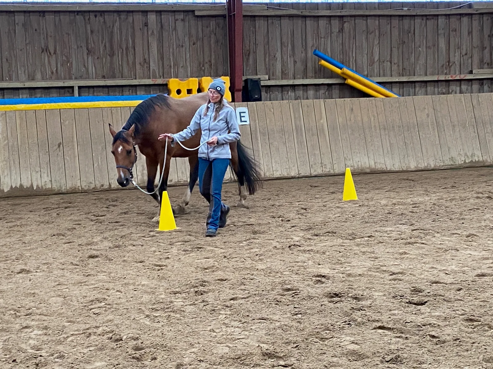 Kursteilnehmerin führt Pferd durch Slalom-Parcours beim Horse Speak Training auf Sylt