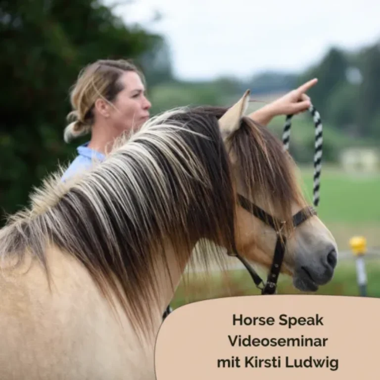 Horse Speak Basis – Onlineseminar zur Pferdesprache von Kirsti Ludwig