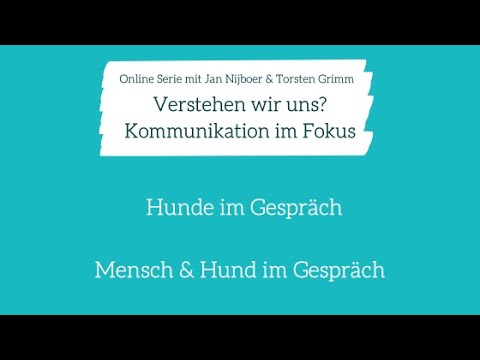 Videostandbild der Webvortrag-Serie mit Titeln auf Turquoise-Hintergrund